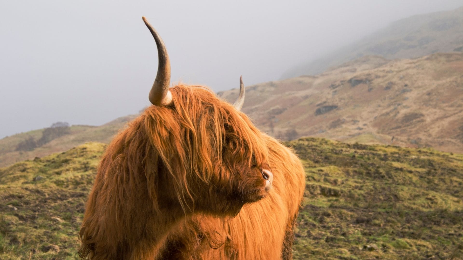 Viagem Escocia Ancestral - Clarissa Donda (16)